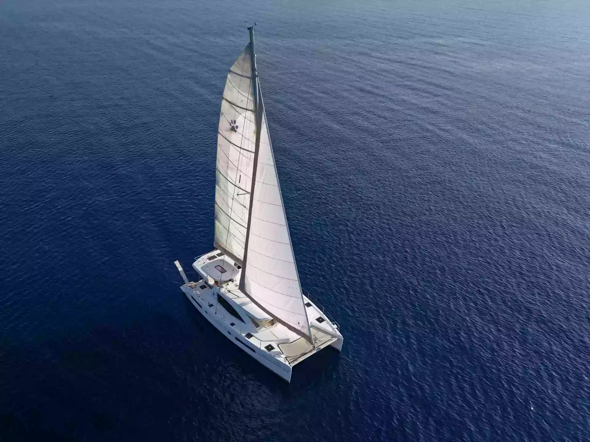 Monaco Katamaran Bodrum